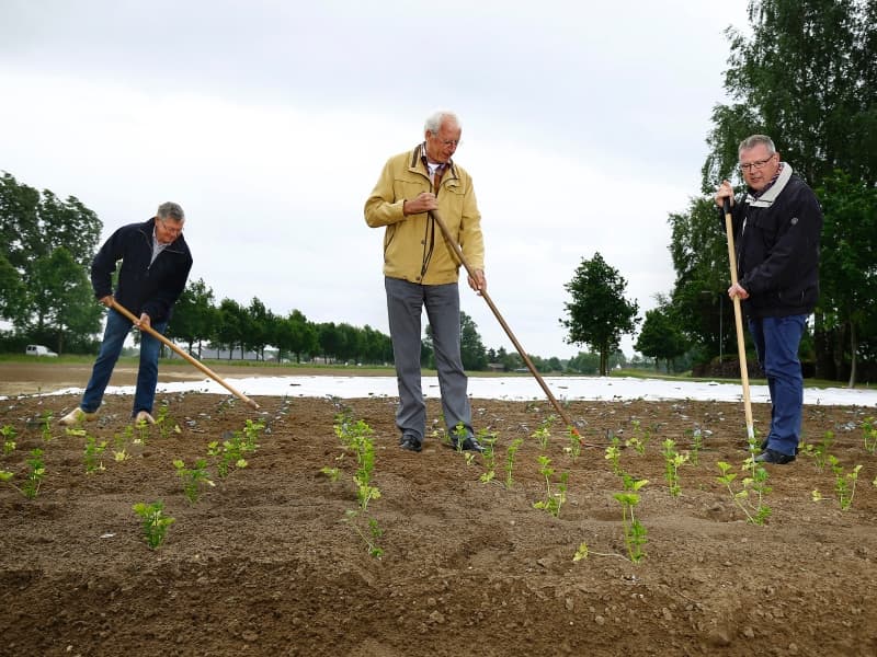 Schutterij Oud-Dijk gaat groente telen voor voedselbank